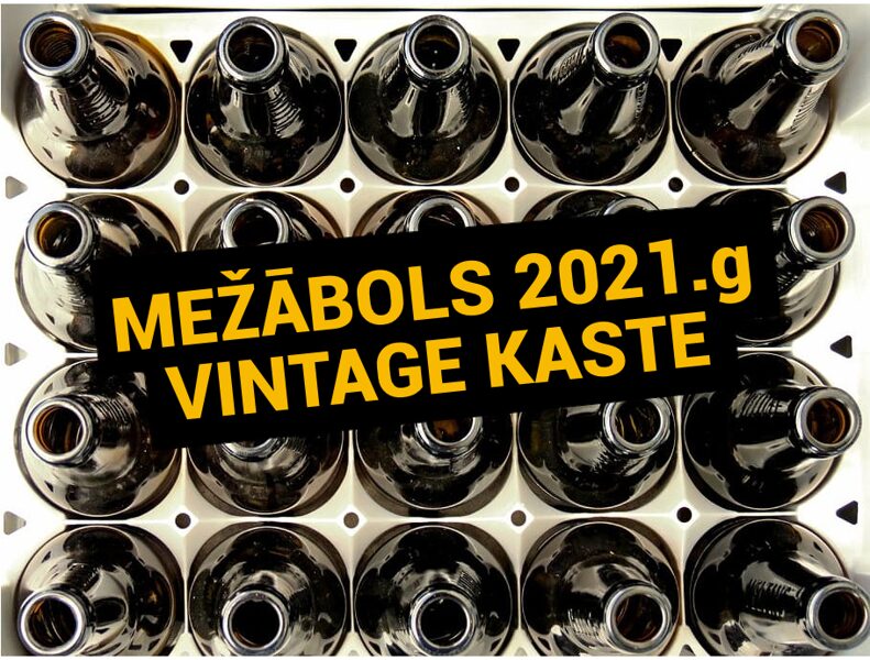 MEŽĀBOLS sauss 2021 vintage KASTE 20gb